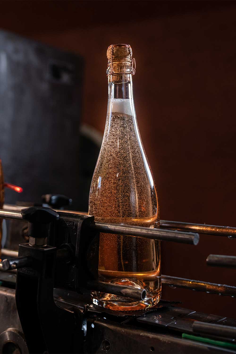 Valsellera just disgorged