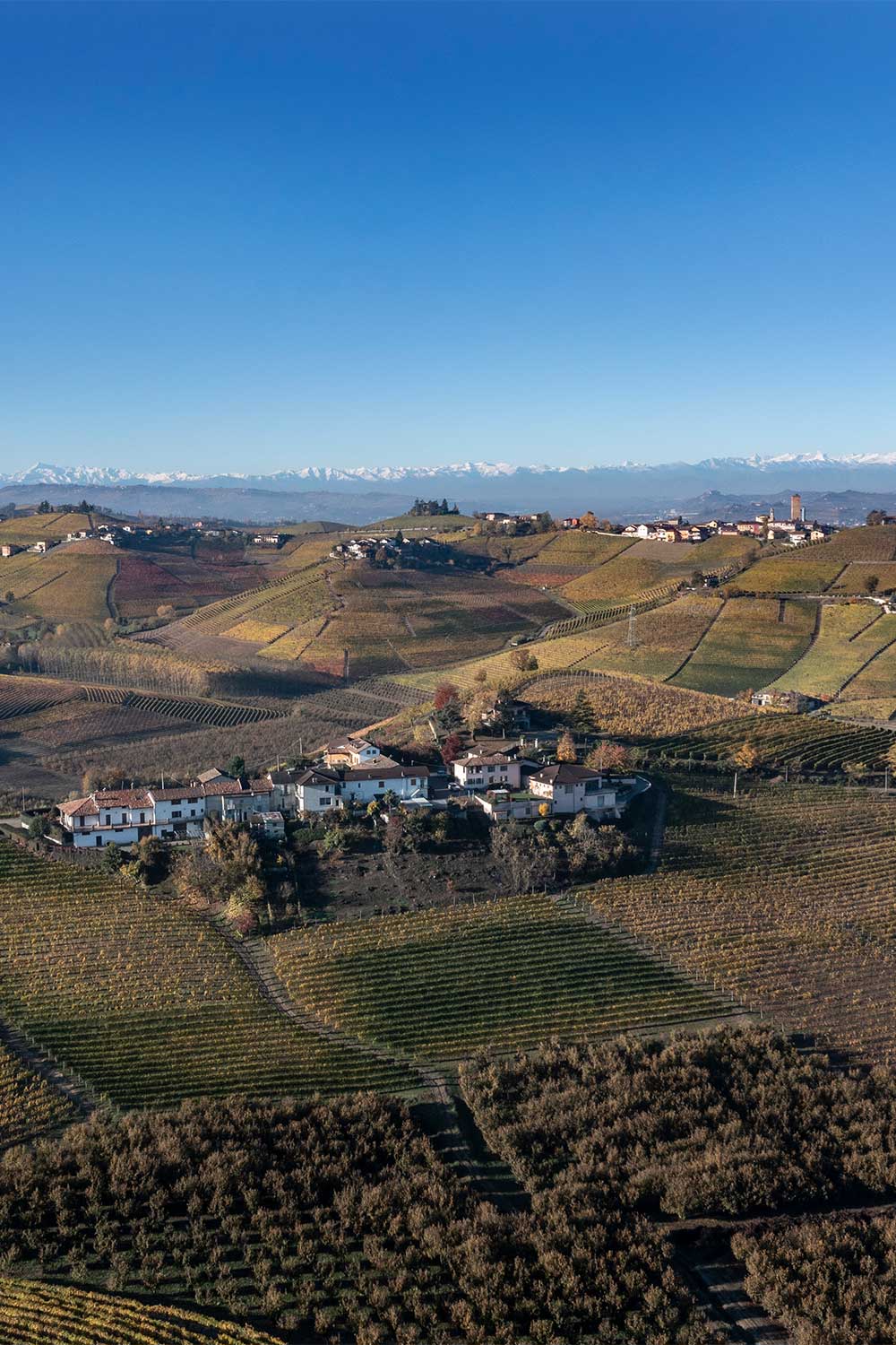 Le colline di Neive e Barbaresco
