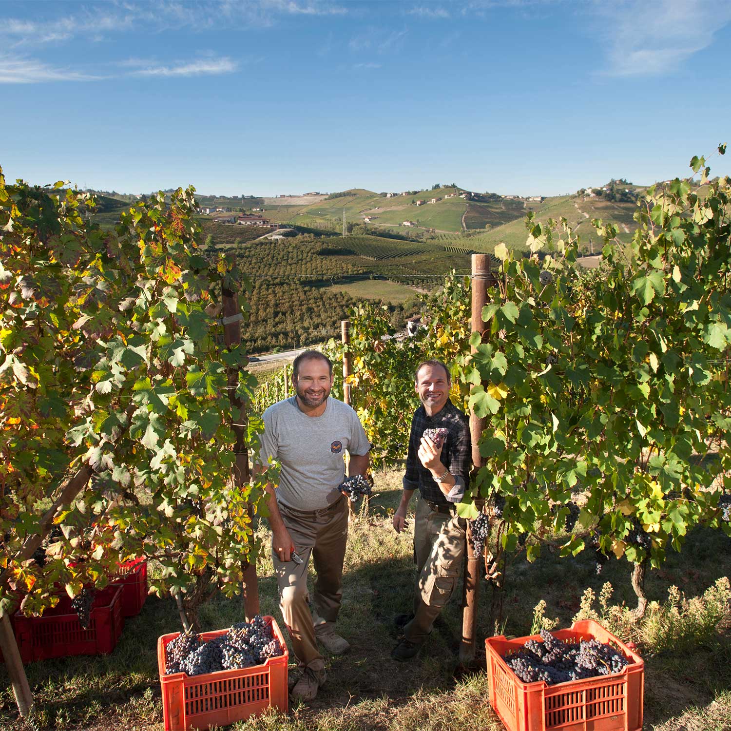 Marco e Fabrizio in vigna