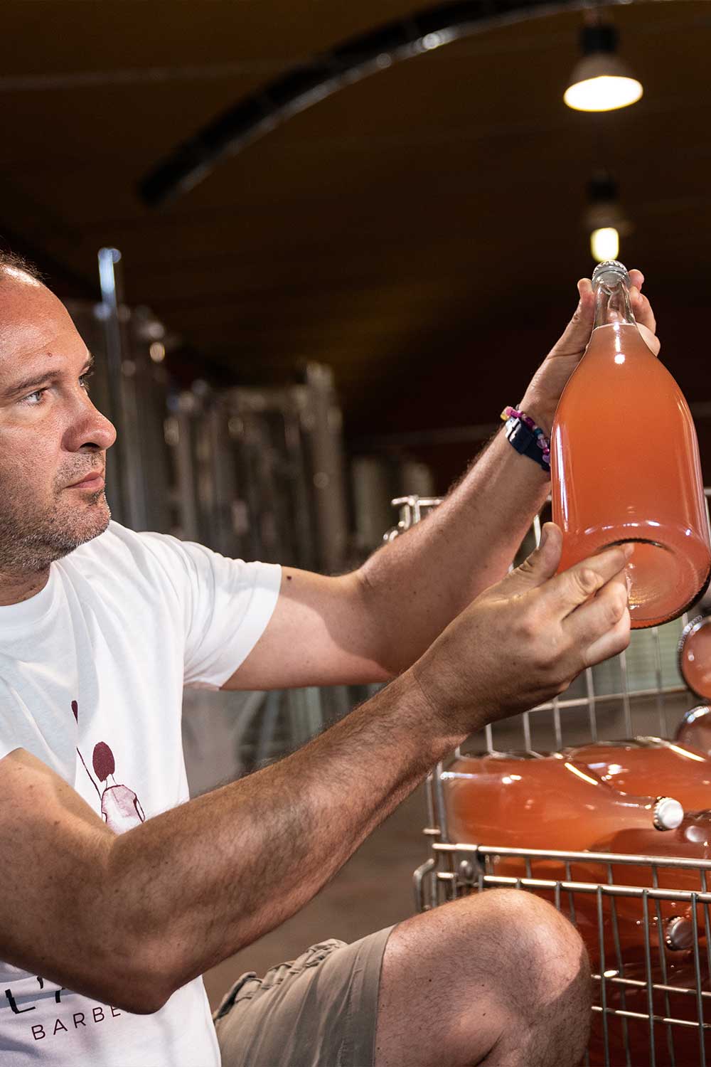 Marco and the Valsellera Rosè