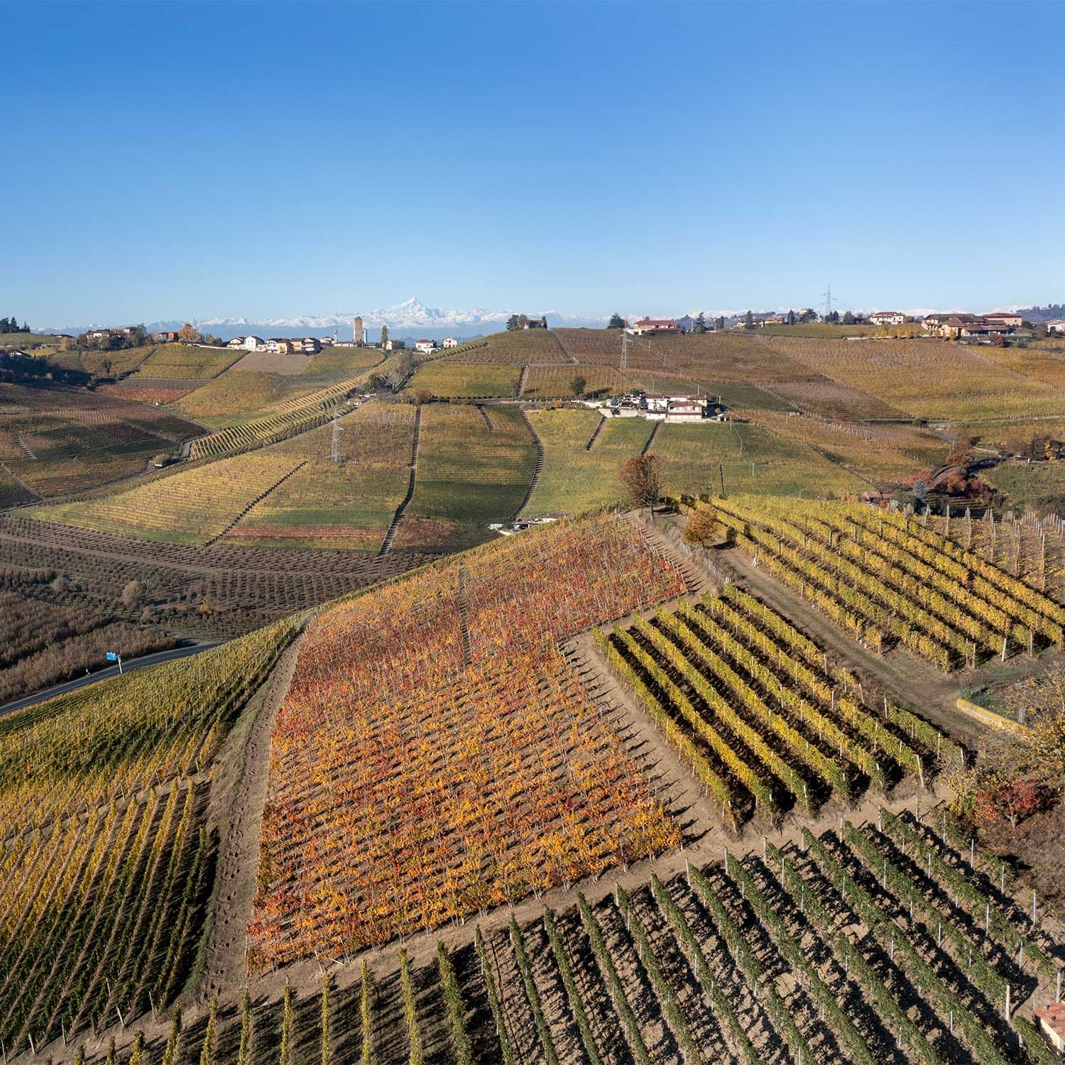 Paesaggio in Langa con vista Monviso