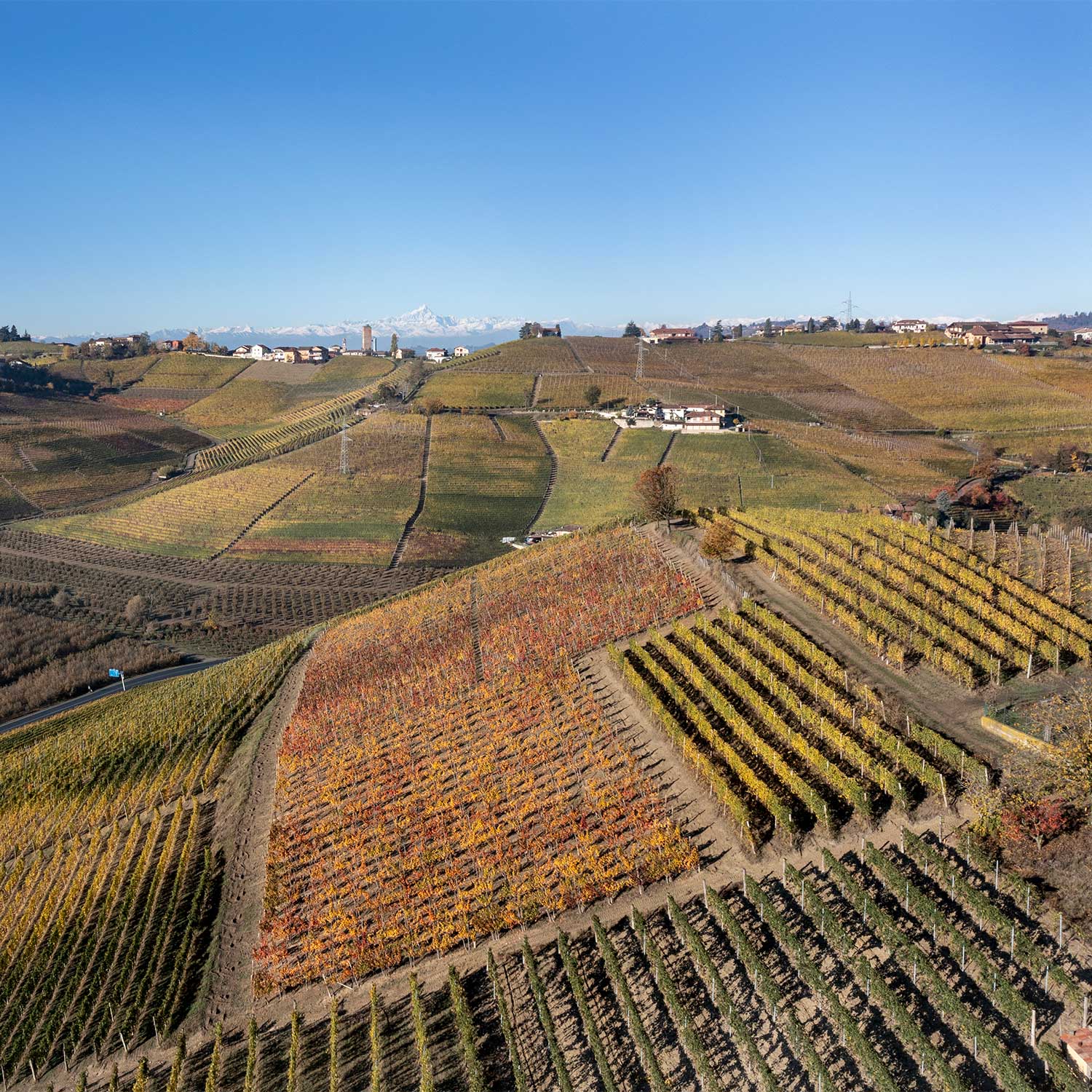 Paesaggio in Langa con vista Monviso