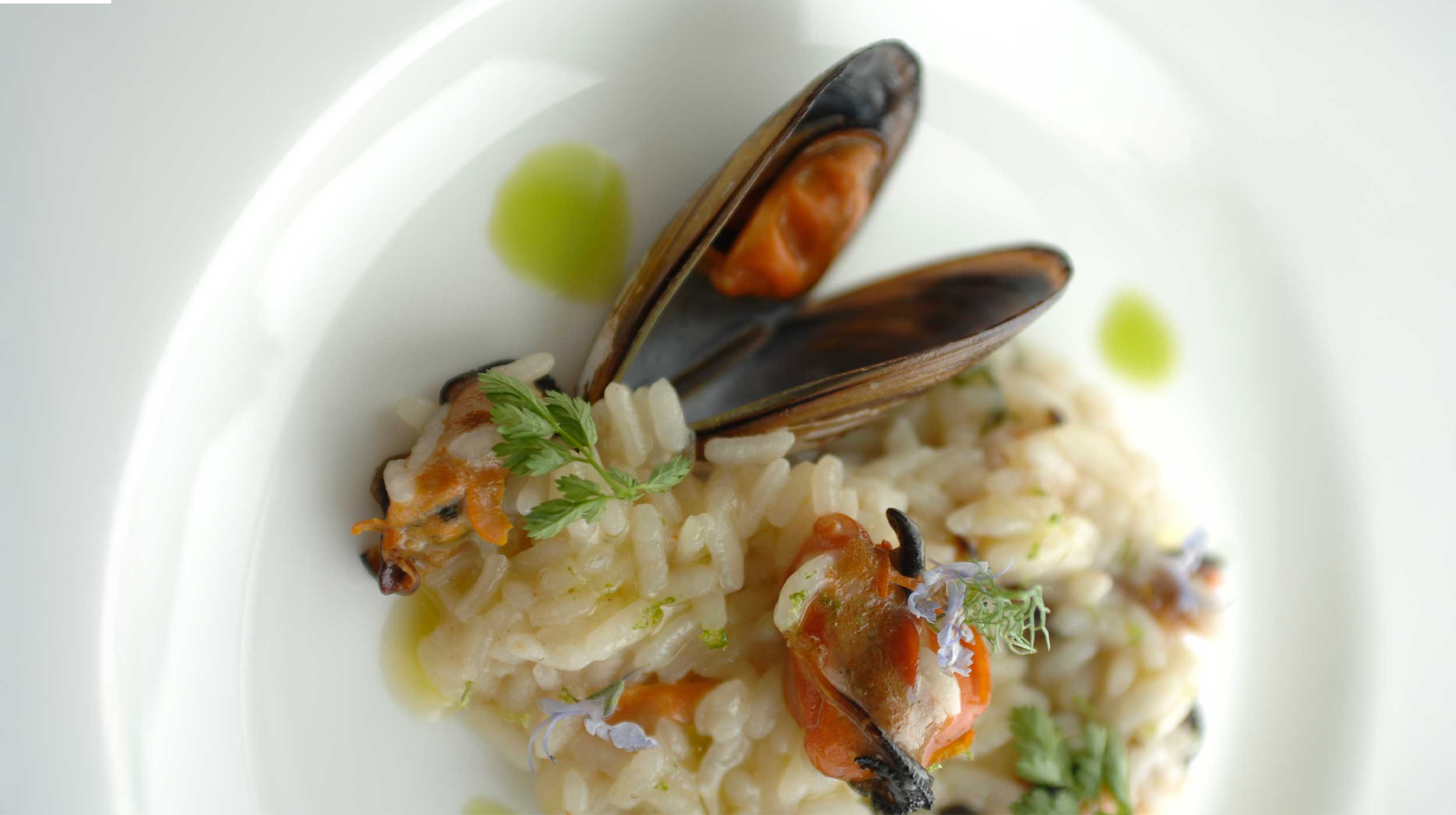 Risotto acquerello "Come una Paella"